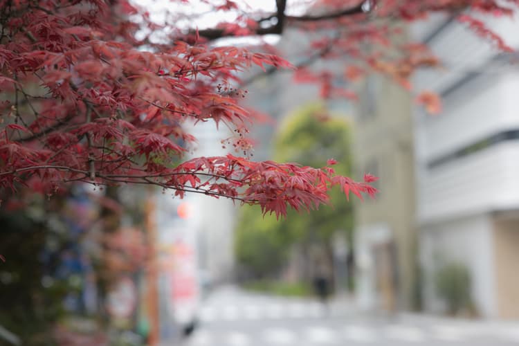 Jimbōchō Book District